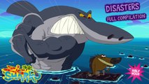Zig & Sharko - Disasters Full Compilation _ HD