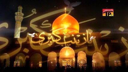 Haye Zainab - Shahid Baltistani - Official Video