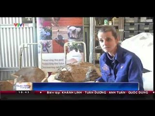 Autralia: Phát hiện mới về xương khủng long hóa thạch