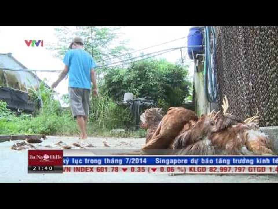 Bản tin tài chính kinh doanh tối - 12/8/2014