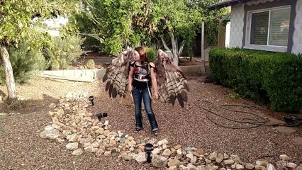 Uniques au Monde : découvrez les Ailes Pneumatiques