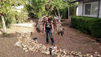 Une paire d’ailes pneumatiques