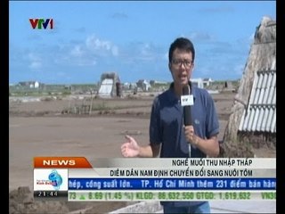 Nghề muối thu nhập thấp diêm dân Nam Định chuyển sang nuôi tôm