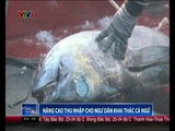 Nâng cao thu nhập cho ngư dân khai thác cá ngừ