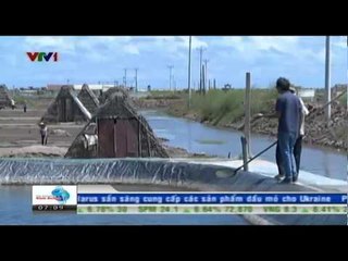 Diễn dân Nam Định Loay hoay chuyển đổi sang nuôi tôm