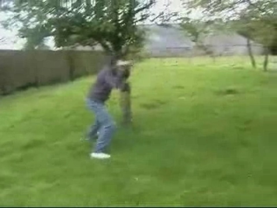 les gogols de l'humanité