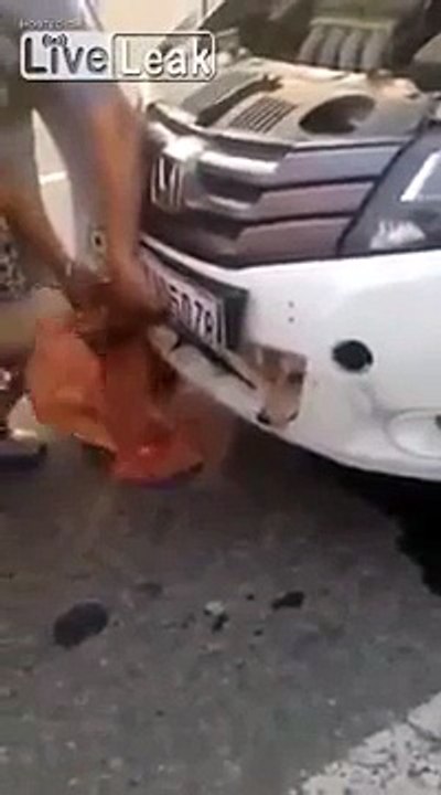 LiveLeak Lucky Dog