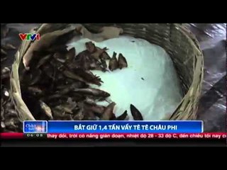 Bắt giữ 1,4 tấn vảy tê tê châu Phi