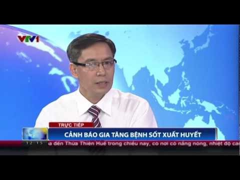 Cảnh báo gia tăng bệnh sốt xuất huyết