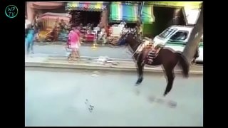Funny videos Funny fails and wins compilation July 2015 #3