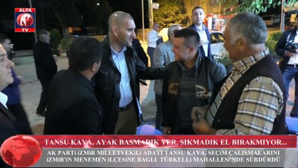 Tansu Kaya, Ayak Basmadık Yer, Sıkmadık El Bırakmıyor