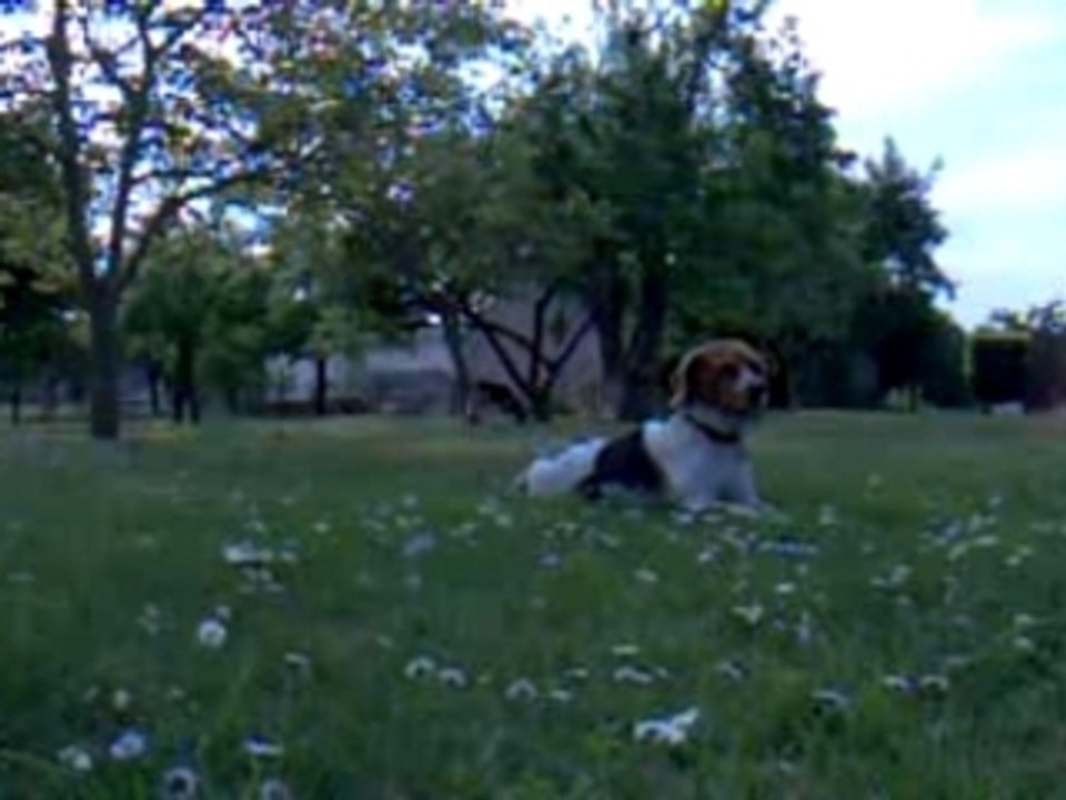 Belle journée en avril