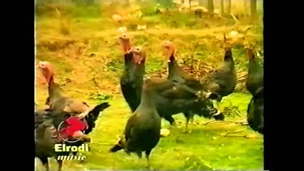 Bilbilat e Vrionit - Tuj tuj me pula deti (Official Video HD)
