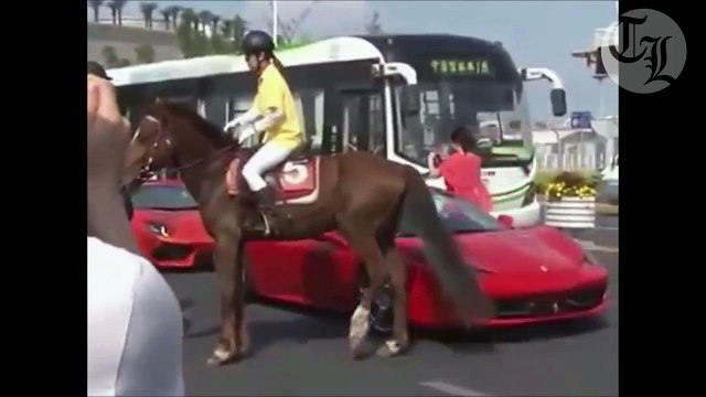Cheval VS Ferrari : grand coup de sabot!