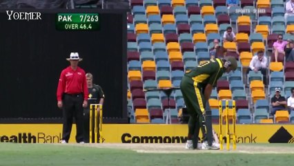 Shahid Afridi Baseball SIX - Shahid Afridi