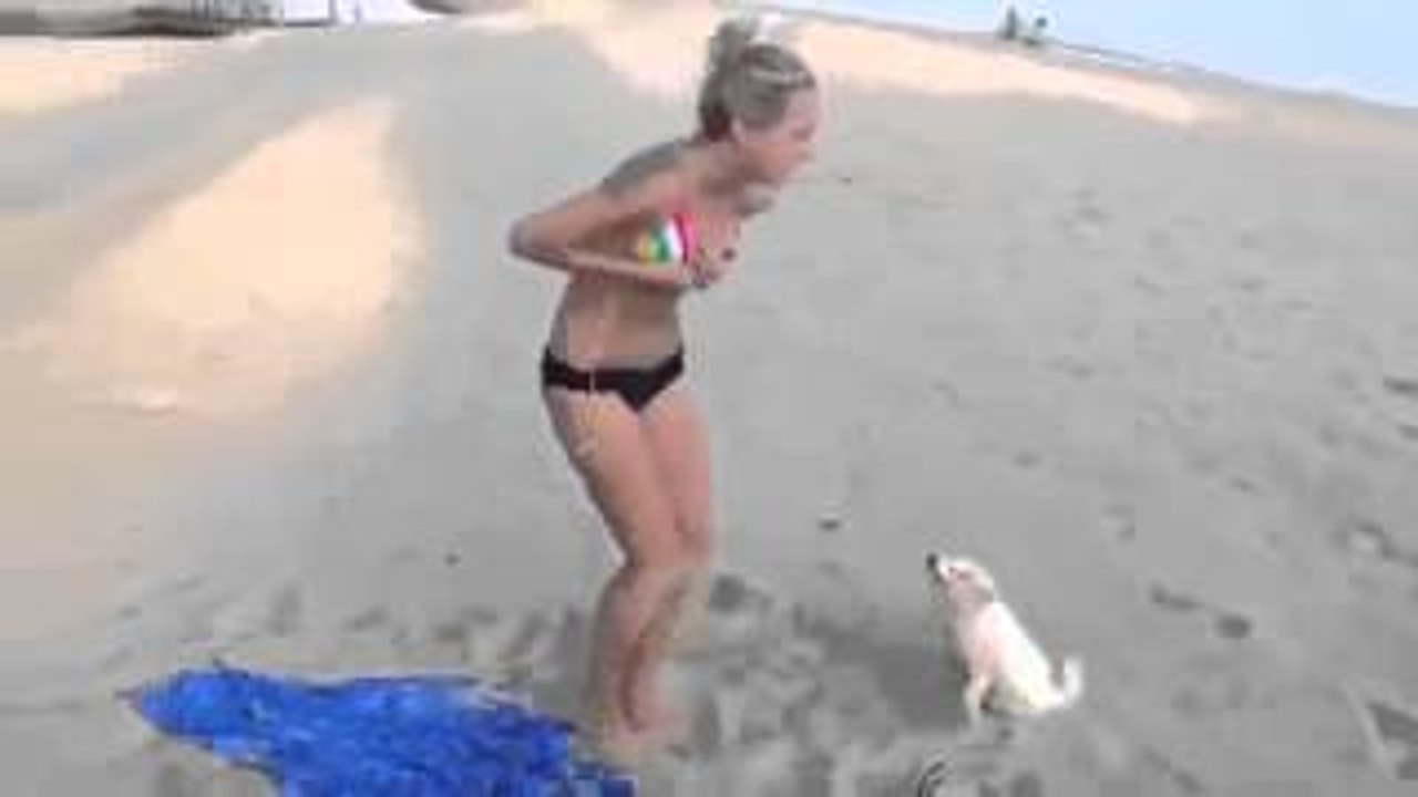 Komik Video Köpek kızın bikinisini çıkarıyor