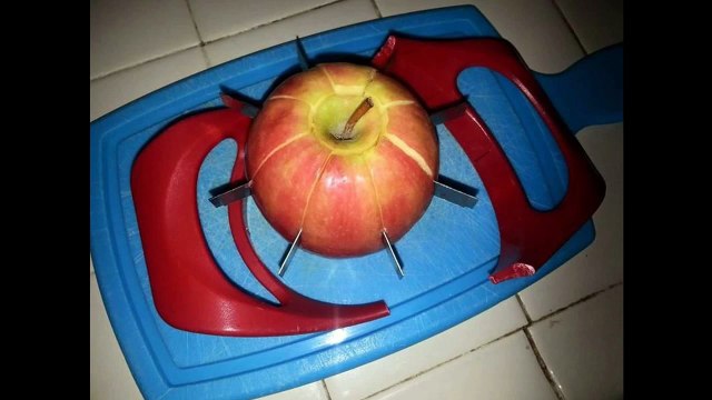 Funny and WTF Pictures #14 (Funny cats, dogs, people, cars, products and just plain weird