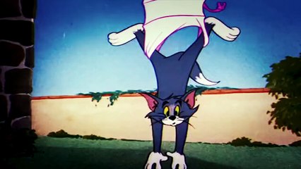 [short film comedy] The Flying Cat cartoon moive for kids