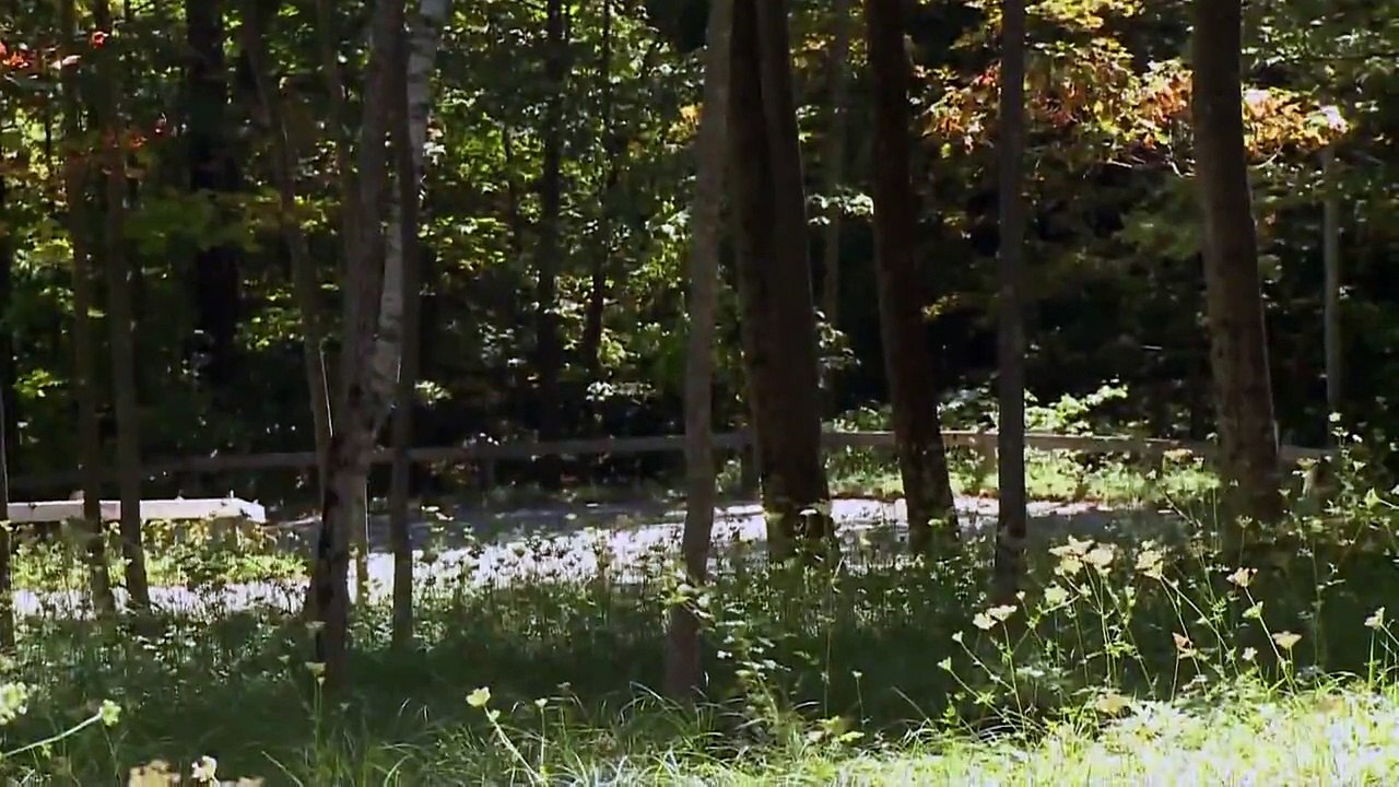 Range Rover V8 HSE 2010 off road and general views [HD]