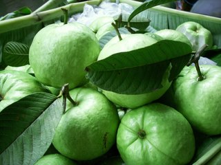 فوائد أوراق الجوافة الصحية