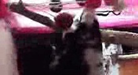 Video Jun: Highlights and Updates