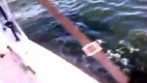 Boston Fisherman Loses His Mind Over HUGE Fish