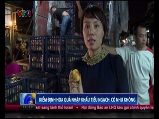 Kiểm định hoa quả nhập khẩu tiểu ngạch: Có như không