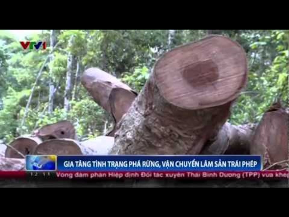 Thời sự 12h - 15/07/2014