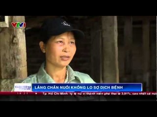Sống ở làng: Làng chăn nuôi không lo sợ dịch bệnh