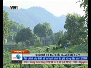 Tại sao giá chè xuất khẩu của Việt Nam thấp?