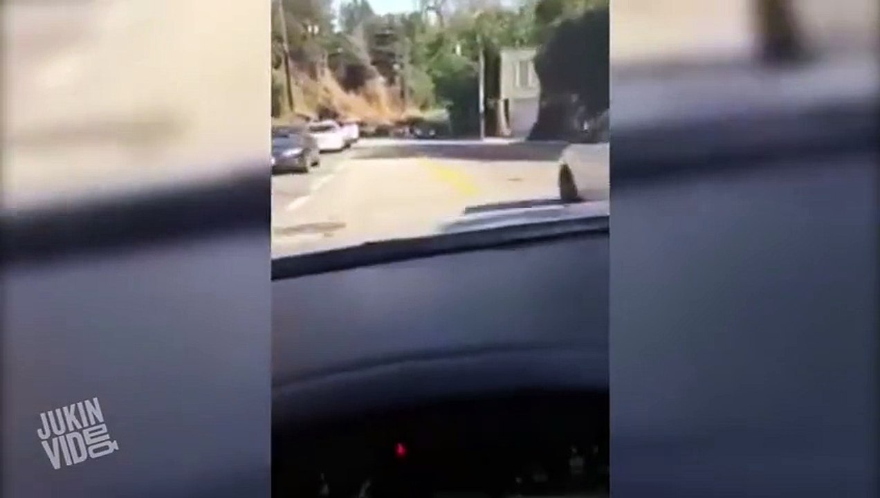 Car Drives in Reverse