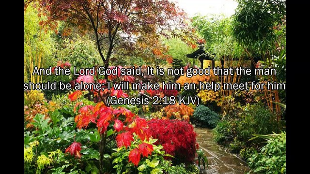 Heaven, Angels, Adam & Eve, Father God, Jesus, Rapture and Worship in Heaven - Elvi Zapata