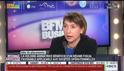 Idées de placements: Investir dans une holding animatrice - 30/10