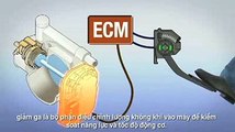 Electronic Throttle Control (Vietnamese) - Toyota