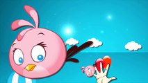 Angry Birds Cartoons Finger Family Nursery Rhymes | Angry Birds Finger Family Rhymes For C