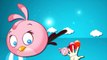 Angry Birds Cartoons Finger Family Nursery Rhymes | Angry Birds Finger Family Rhymes For C