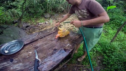 Comment tuer et préparer un poulet