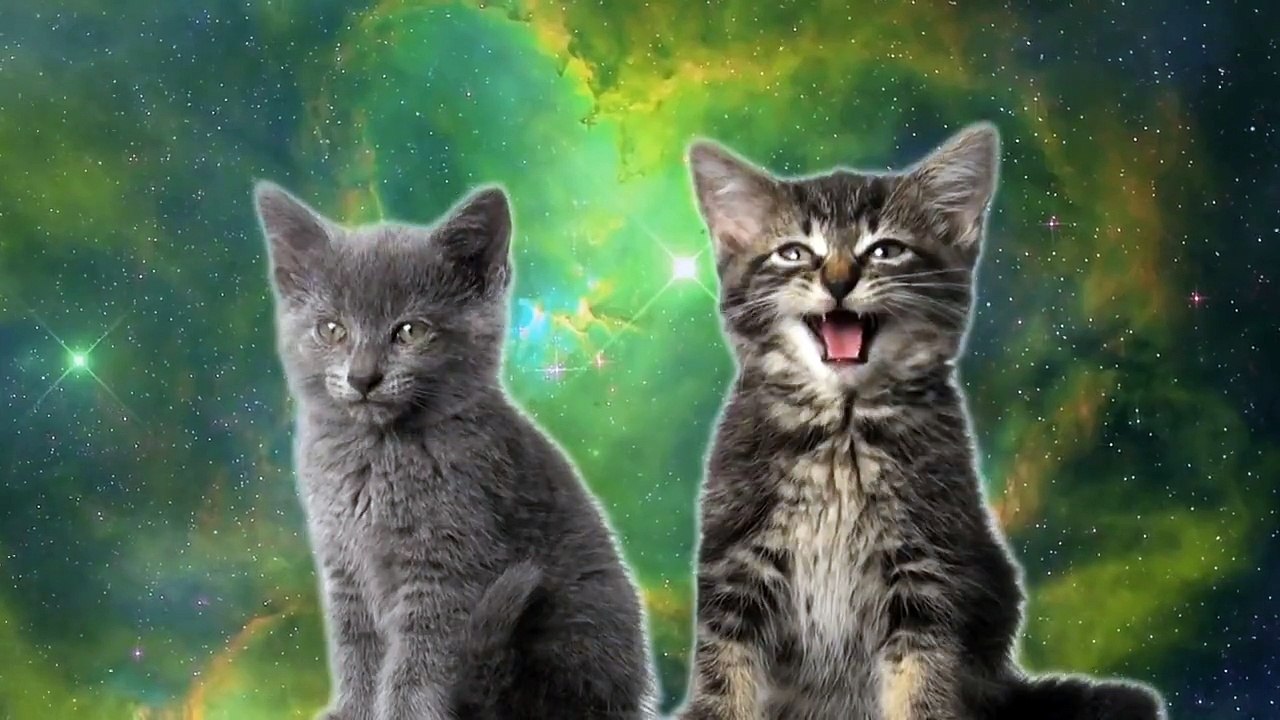 Space Cats - Magic Fly