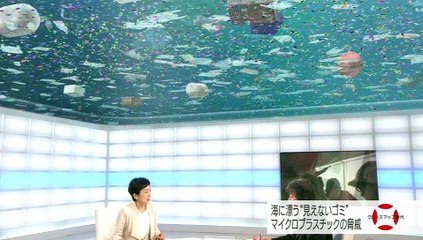 海に漂う“見えないゴミ” マイクロプラスチック - 2015-10-05 19_30