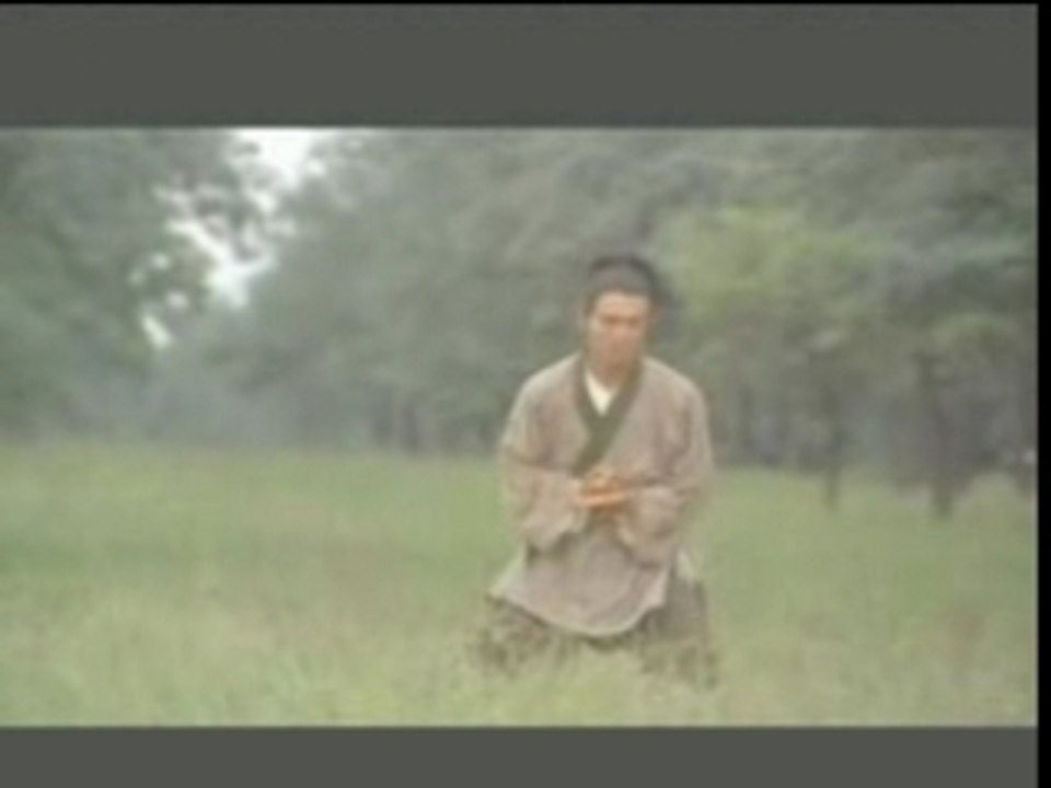 Tai chi master
