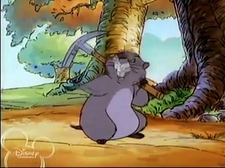 Disney Channel Winnie The Pooh Fast Friends