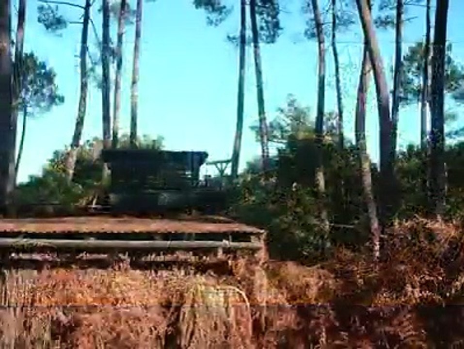 La palombière... un sketch un mourir de rire !
