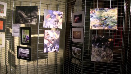 45 ème salon d'Automne des artistes cheminots savoyards