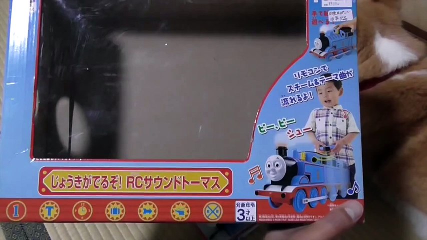 きかんしゃトーマス 蒸気が出るラジコン Thomas And Friends Radio