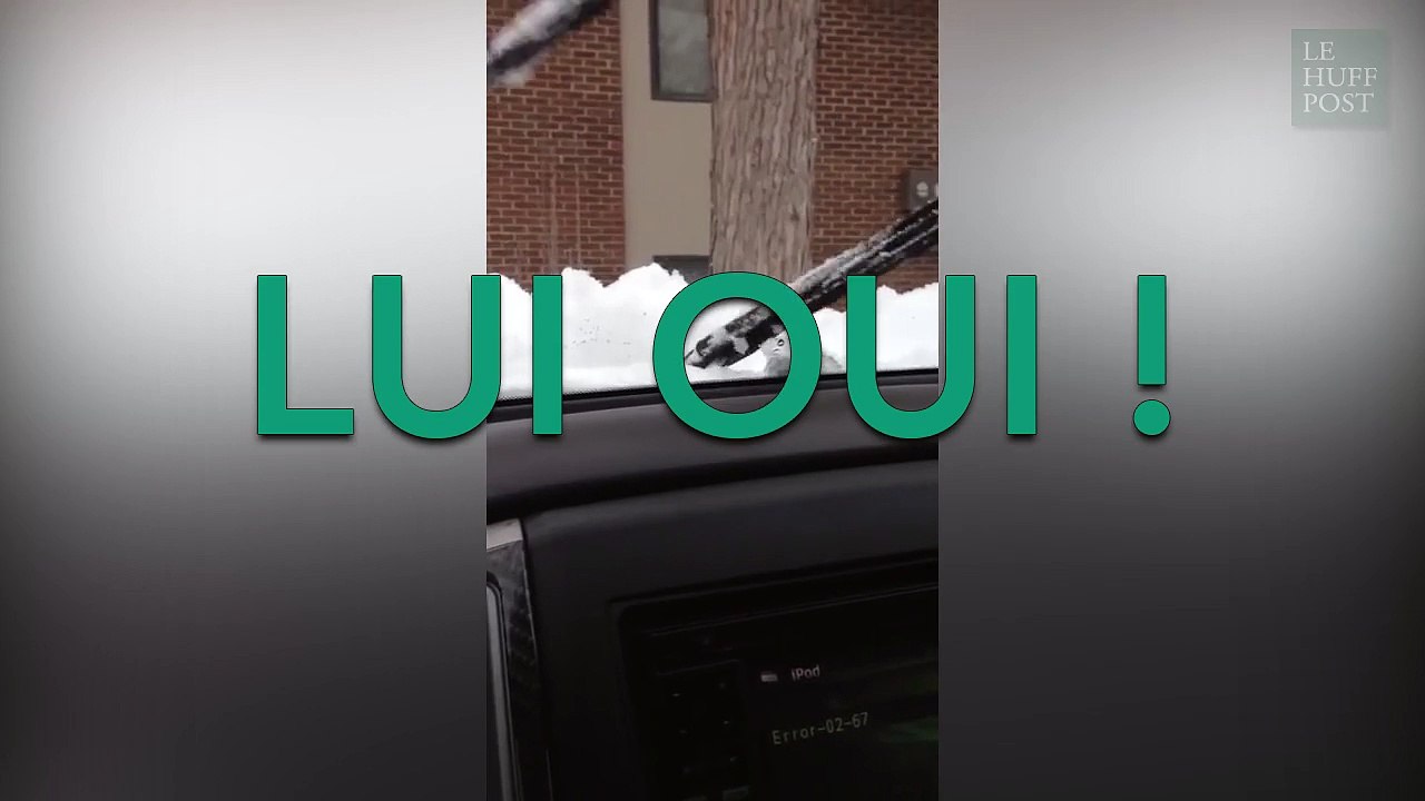 Une version du "We will rock you" de Queen comme vous ne l'avez jamais entendu