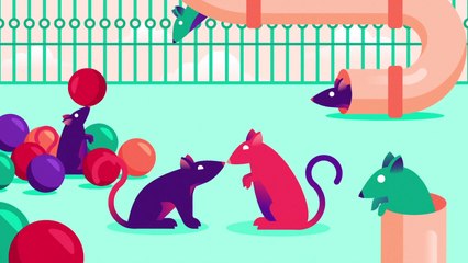 Awesome Science Video Explains Addiction | What's Trending Now