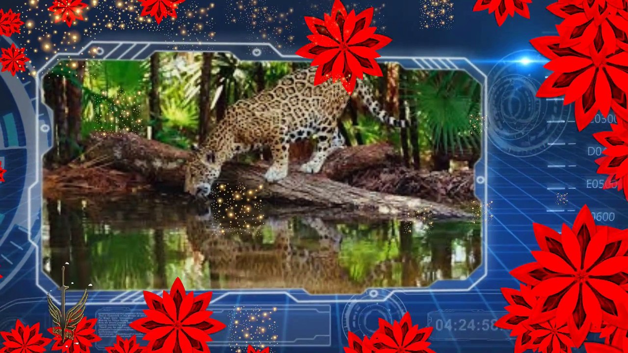 BOLEROS MUSICA INSTRUMENTAL HD29-10-2015