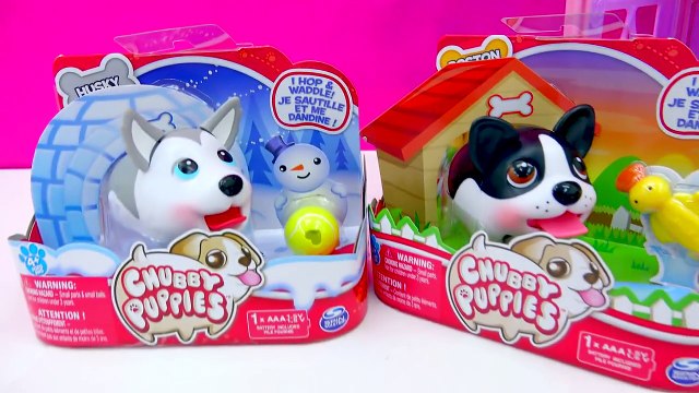 Disney Frozen Queen Elsa & Princess Annas 2 New Dog Chubby Puppies Toy Unboxing Video