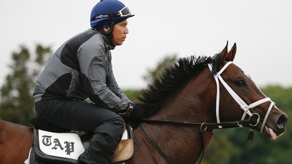 American Pharoah's Historic Last Ride