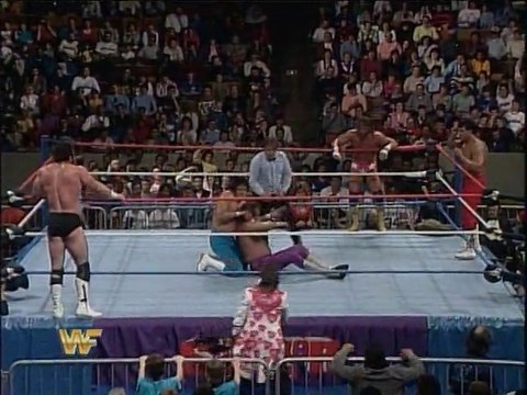 WWF Survivor Series 1987 - Team Savage Vs. Team Honky